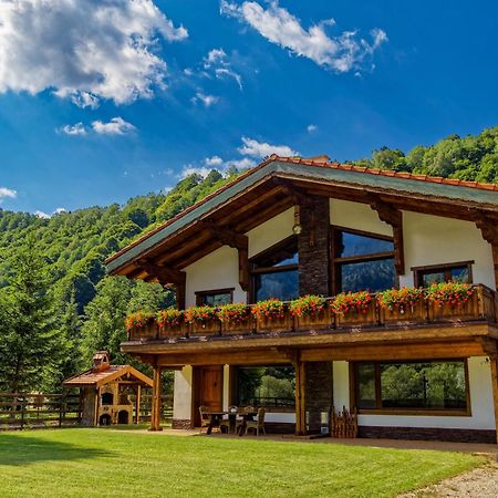فيلا Avalanche Plaiul Foii Zărneşti المظهر الخارجي الصورة